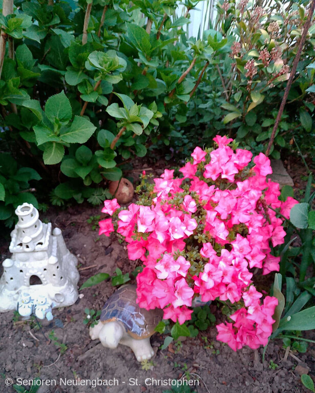 IMG E0668