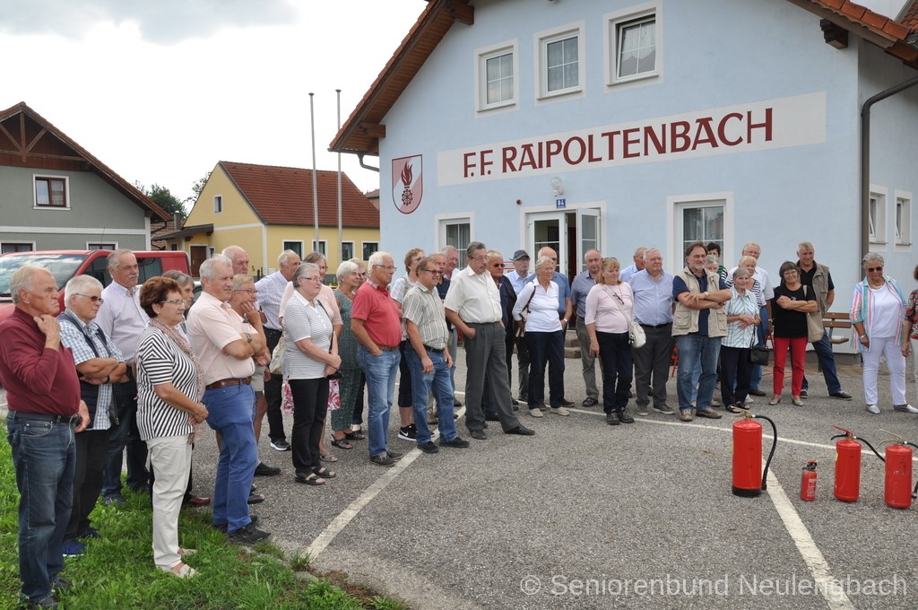 DSC 0737.JPG Woltron1