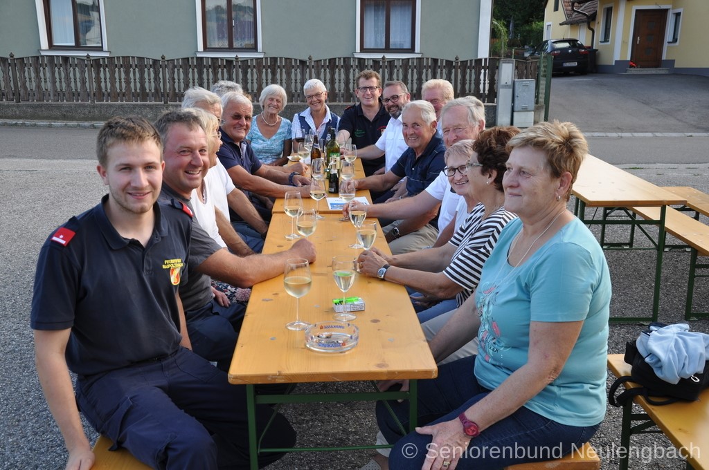 DSC 0813.JPG Woltron 3